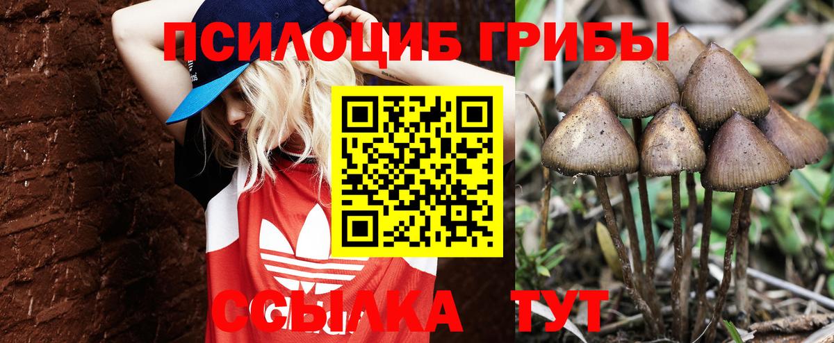 Псилоцибиновые грибы MAGIC MUSHROOMS Павлово