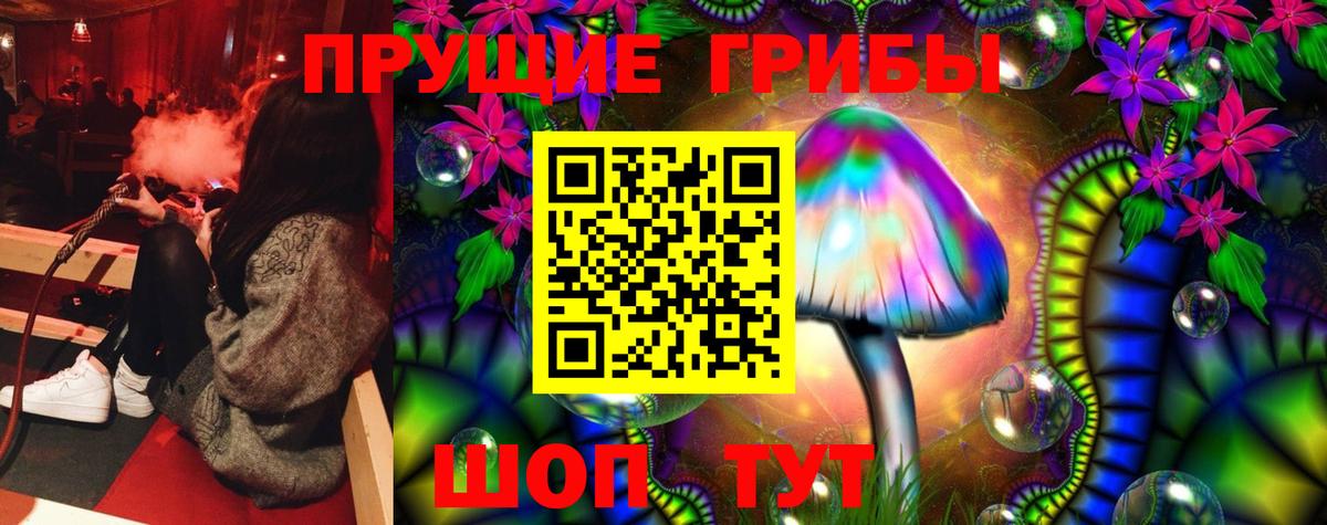 Павлово  Галлюциногенные грибы MAGIC MUSHROOMS  Вход с VPN 